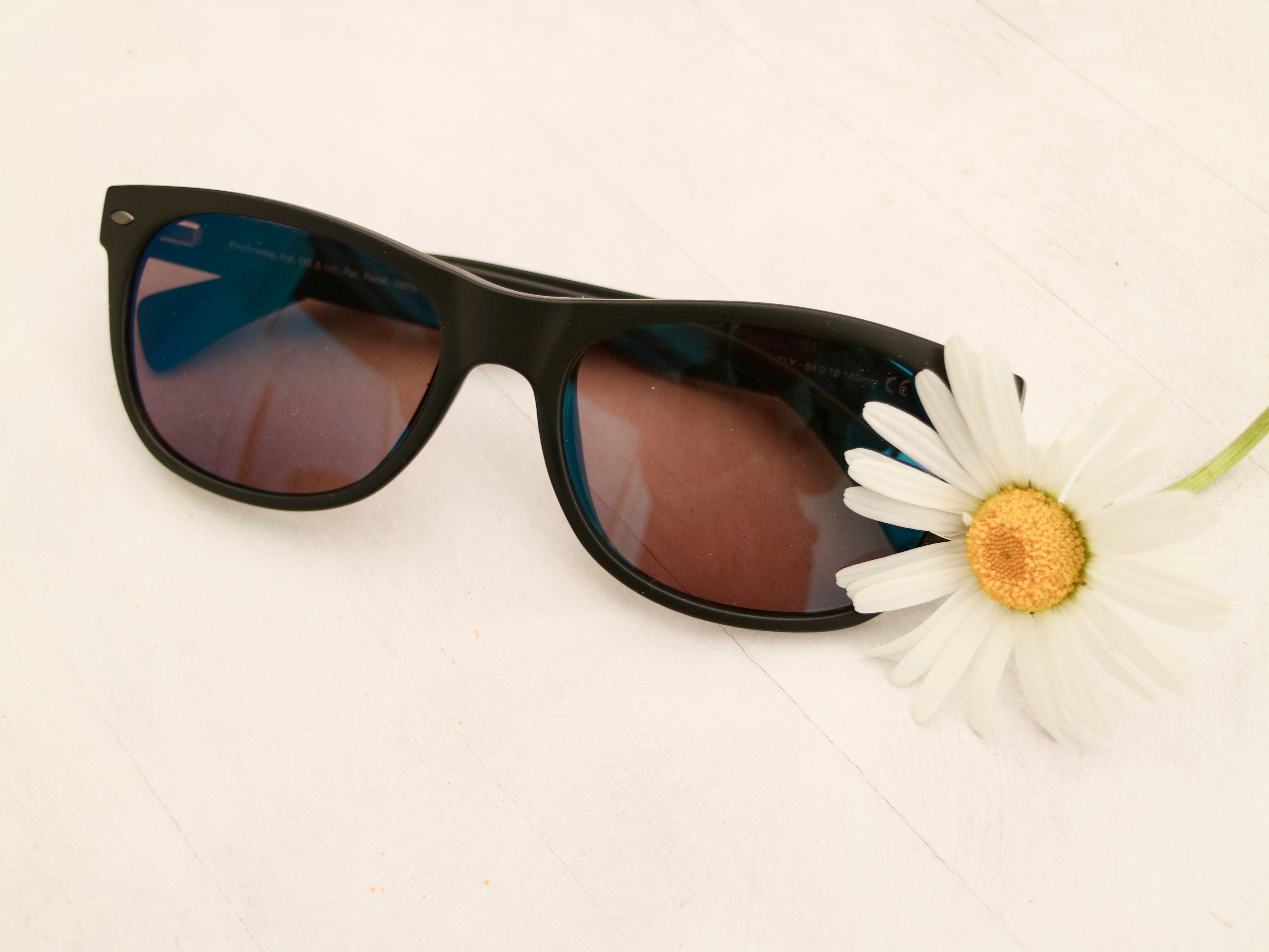 Enchroma Brille Ellis